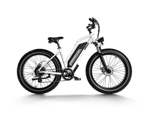 Himiway Cruiser D3 - All Terrain E-Bike-0