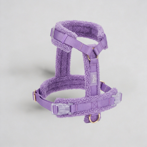 Hundegeschirr-Set Teddy Violett-0