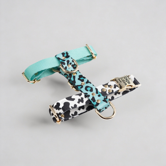 Hundegeschirr Aqua-Camo-0
