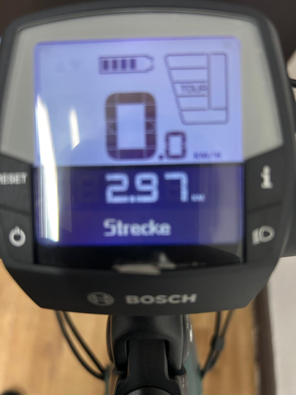 Trenoli Livenza Sportivo M Bosch Trekking E-Bike - Vorführrad-1