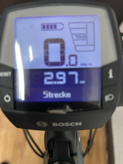 Trenoli Livenza Sportivo M Bosch Trekking E-Bike - Vorführrad-1